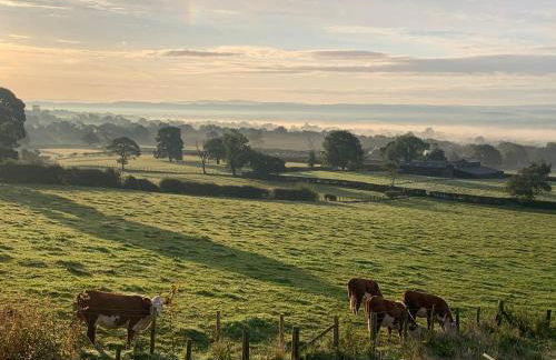 The Lookout - Foto 48