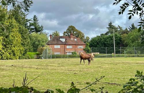 Hedgerows House New Forest - Foto 18