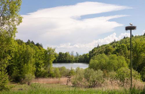 Ferienwohnung Alpenfeuer - Foto 23