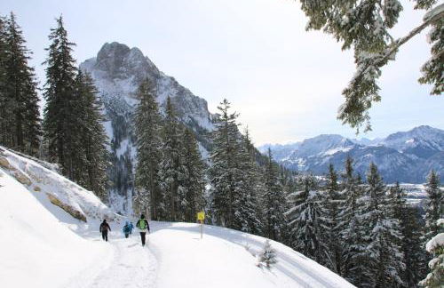 Eisenberg - Komfortables, helles Apartment mit Balkon und Alpenblick ruhig gelegen in Pfronten Mitte - Foto 21