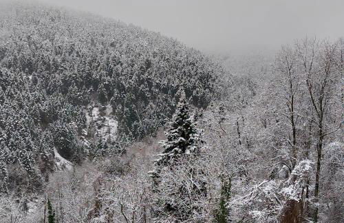 ELATALIA Plastira Lake - Photo 13