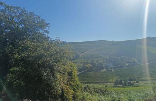 Langhe & Wine Accommodation - Foto 23