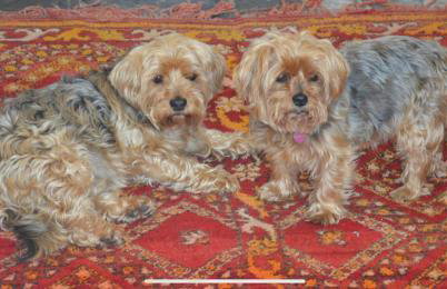 Cottage in Worcestershire - Foto 64