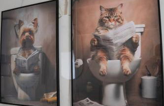 Gli amori di Carolina - Palazzo Carolina - Foto 7