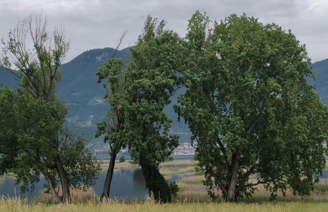 Ancient, Renovated Farmstead With Private, Equipped Garden - Photo 39