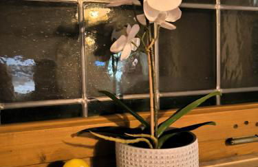 Haus Blindauer Eck - Foto 41