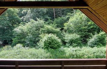 Scharbeutz Waldblick - Foto 24