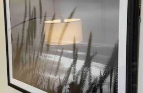 I-95 and Tanger Outlets. Pet Yes - Photo 46