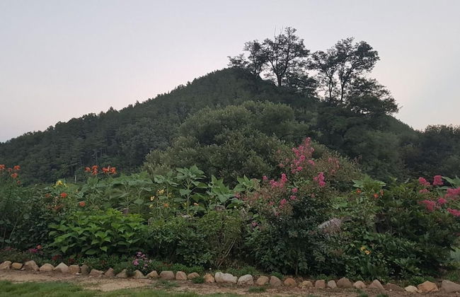 Moonlight House - Photo 23