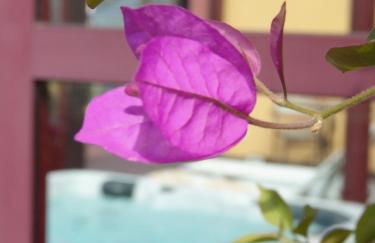 Luxury Easy Living in Framura - Foto 46