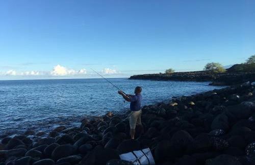 Country Cottage in Papa Bay - Foto 21