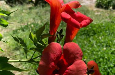 El Edén de Cazorla - Foto 14