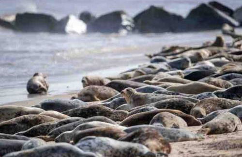 Passing Moon- Filby (Norfolk Broads) - Foto 31