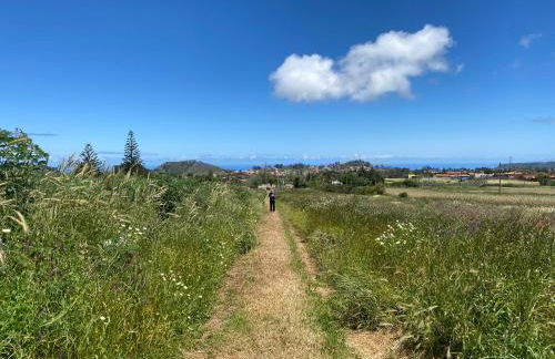 Garden Golf Tenerife - Foto 38