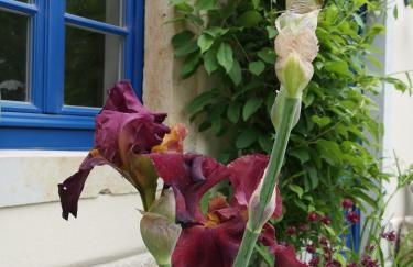 Urlaub im 200 Jahre alten Fachwerkhaus - Foto 16