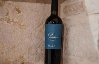 DOMUS Casa Vacanze - Foto 11