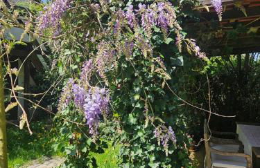 Ländlicher Charme und Komfort - Foto 6