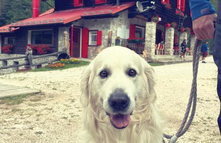 Casetta del Caregon a Vinigo - Foto 22