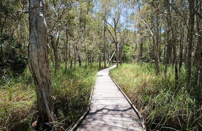 NRMA Woodgate Beach Holiday Park - Foto 67