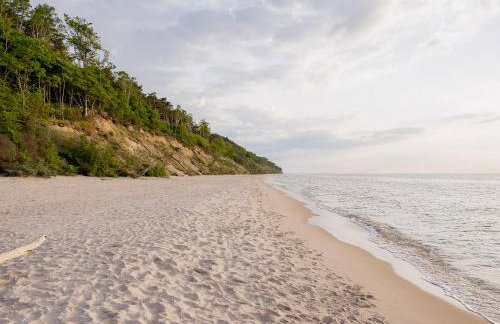 White & Black - Photo 20