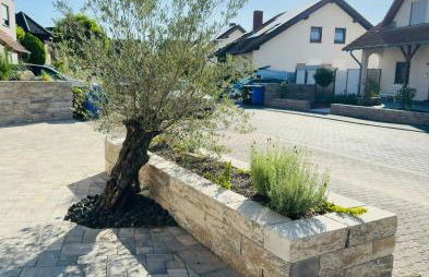 Nähe Mainz - Ferienwohnung - Apartment Breivogel in Wörrstadt - Foto 8