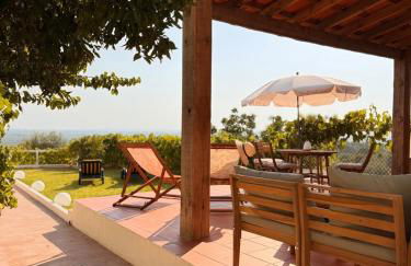 Lezíria Houses - Ribatejo - Foto 28