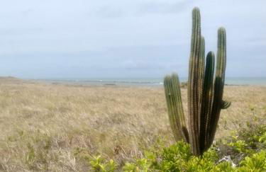 Loft 1 - Casa Aratu Guaiú Barra de Mamanguape - Photo 27