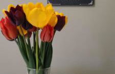 Gîte À l'aigle de sable - Foto 16