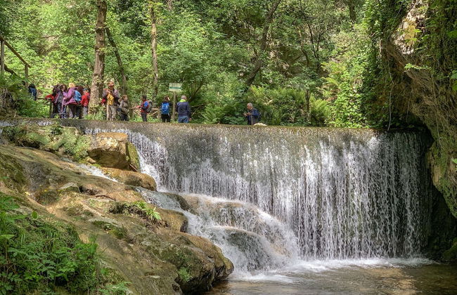 Tenuta Novecento Bio Agriturismo - Foto 55