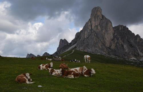 Cesa Fossal - Foto 31