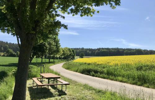 Rennerhof-Siebeneichen Fewo Frechdachs - Foto 8