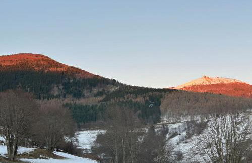 La Fermette des Vallons - Jacuzzi - Billard - Foto 14