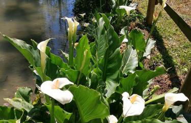 Agriturismo Villa Trovatore - Foto 52