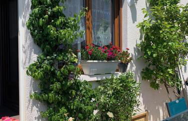 Cœur de sousto - Foto 3