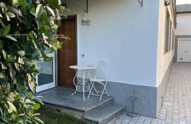 Il Giardino del Cappellaio - Madhatter's Garden - Foto 17