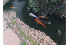 Quarto Aconchegante Apartamento compartilhado - Foto 9