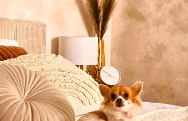 Apartamenty Paryskie Old Town View - Foto 11