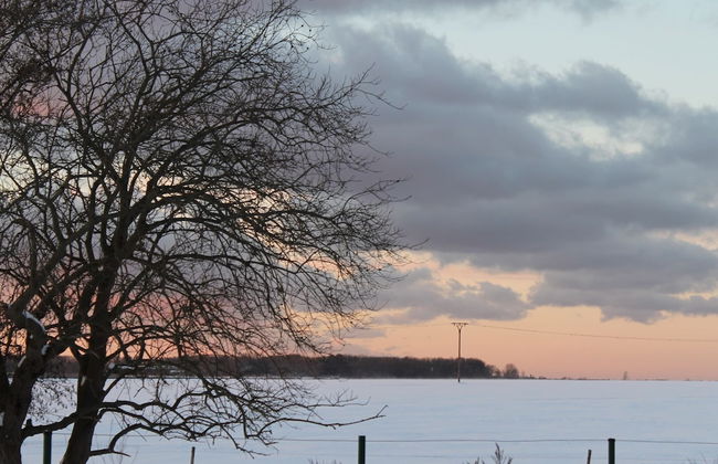 Bungalow Near Salzhaff Beach Wismar - Foto 33
