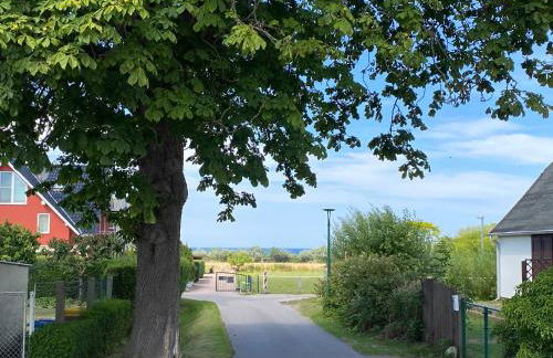 Ostseegarten Nienhagen - Foto 18