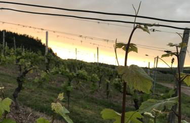 Ferienappartement Hennen - Foto 40