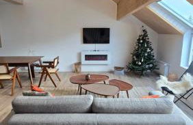 Duplex type chalet dans le Jura - Foto 48