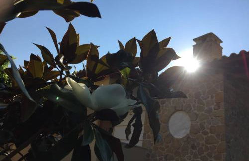 Platanus Gardenhouse - Foto 30