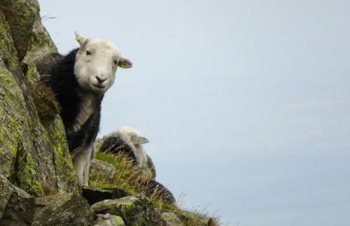 Fellside View - Foto 36