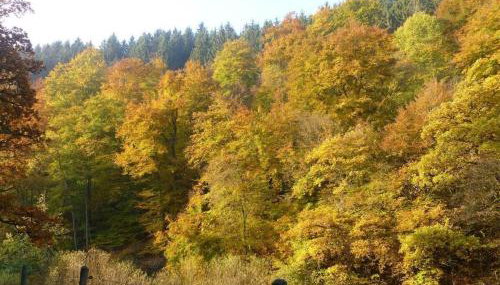 Neumühle from April 2014! - Foto 2, Other