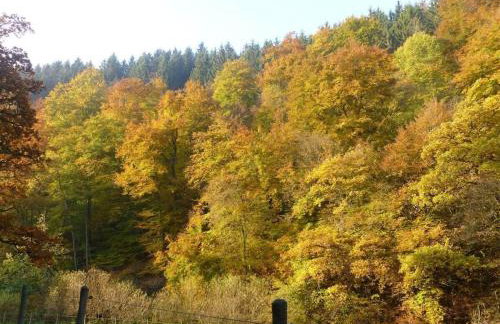 Neumühle from April 2014! - Foto 2