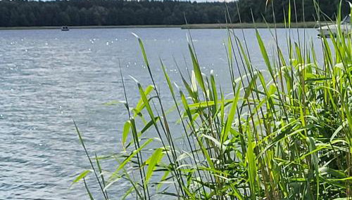 Houseboat SeeSea Mazury - Domek na wodzie Bogaczewo k Giżycka - Foto 2