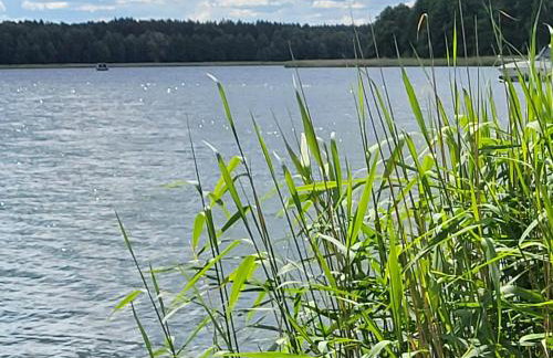 Houseboat SeeSea Mazury - Domek na wodzie Bogaczewo k Giżycka - Foto 2
