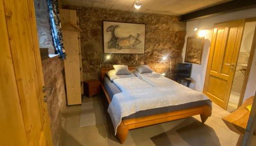 Mauersegler - Foto 3