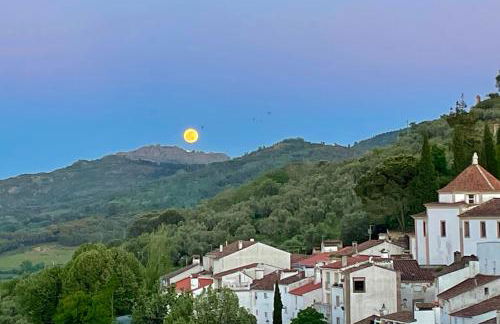 Casa David - Foto 59