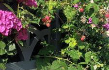 Studio cosy et tout neuf - Foto 21